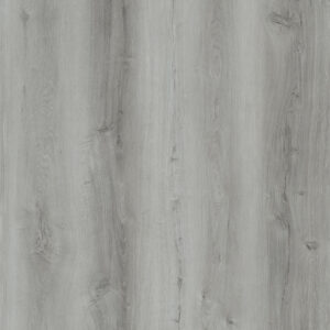 Omega Hydra Gris 101